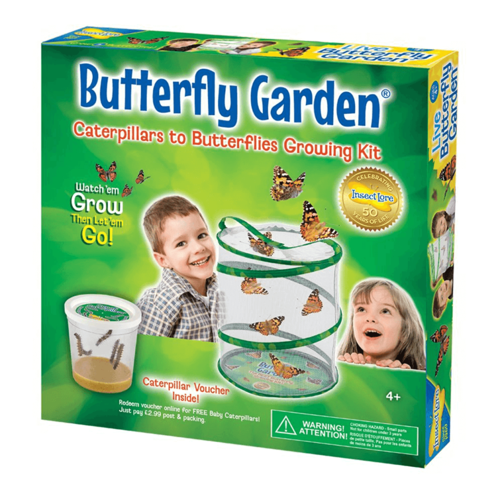 Butterfly Garden